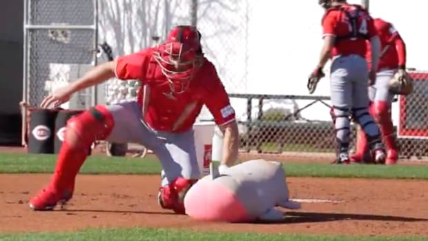 A Reds catcher applies a tag to a stuffed animal